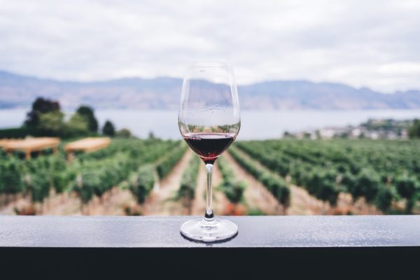 Learn about Winery internships abroad Learn about winery internships abroad in South America
